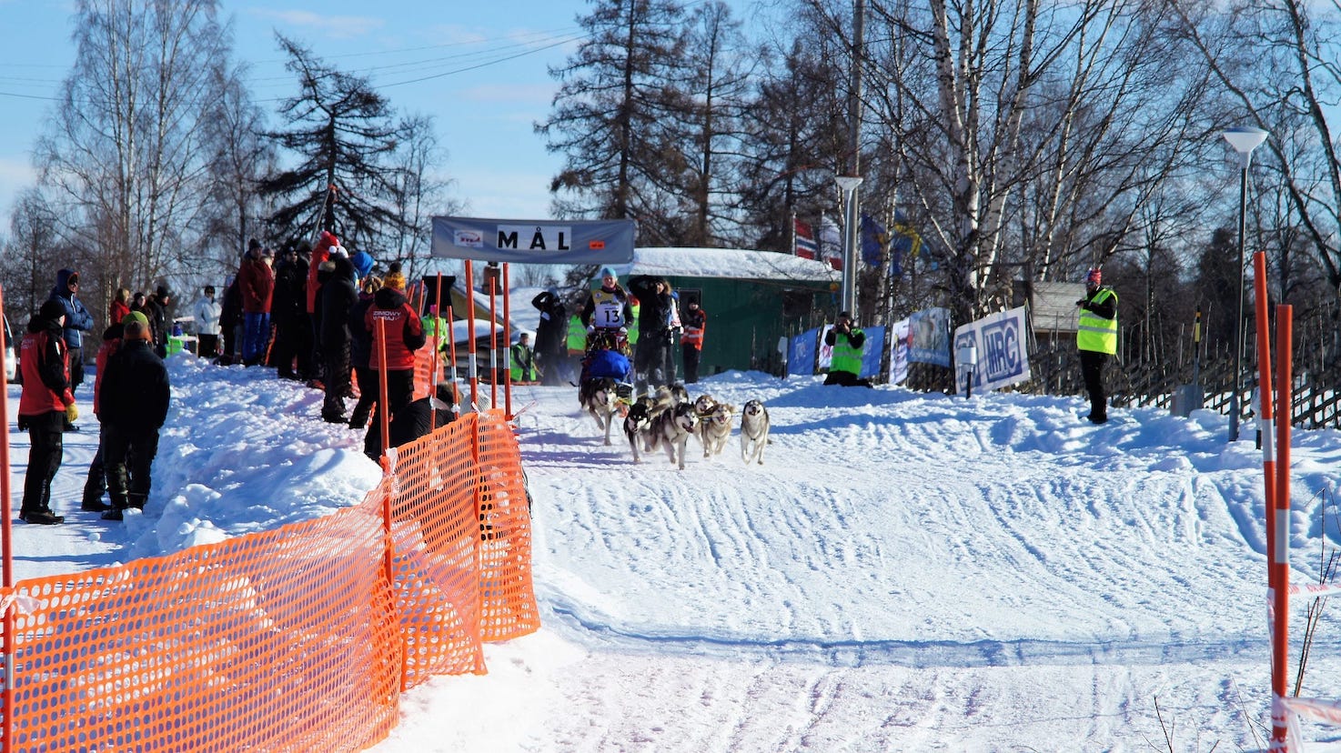 k-dsc08795