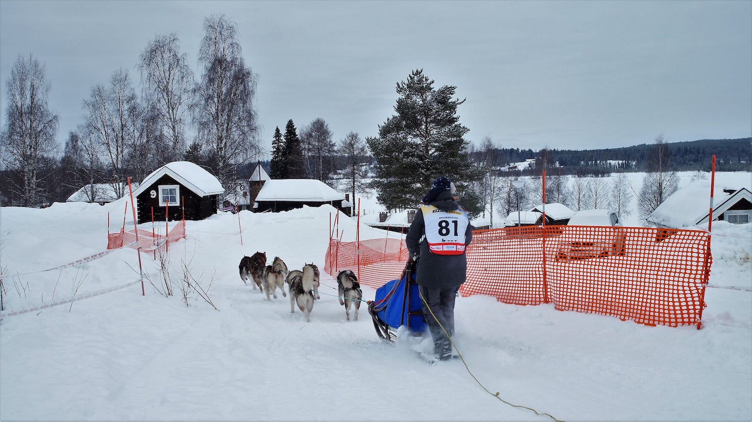 k-dsc09165