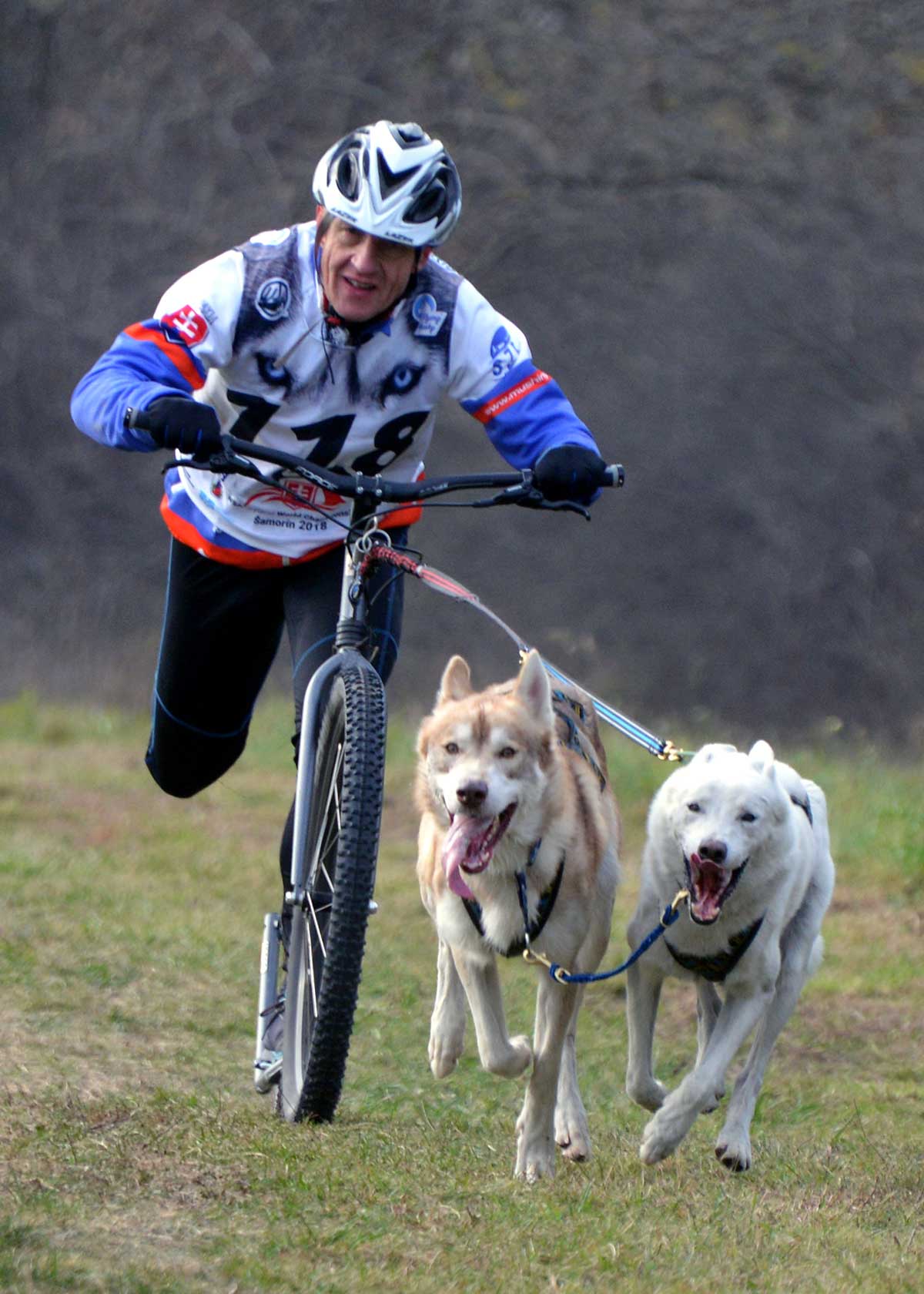 46837269 1953509531406370 7321080834763522048 o