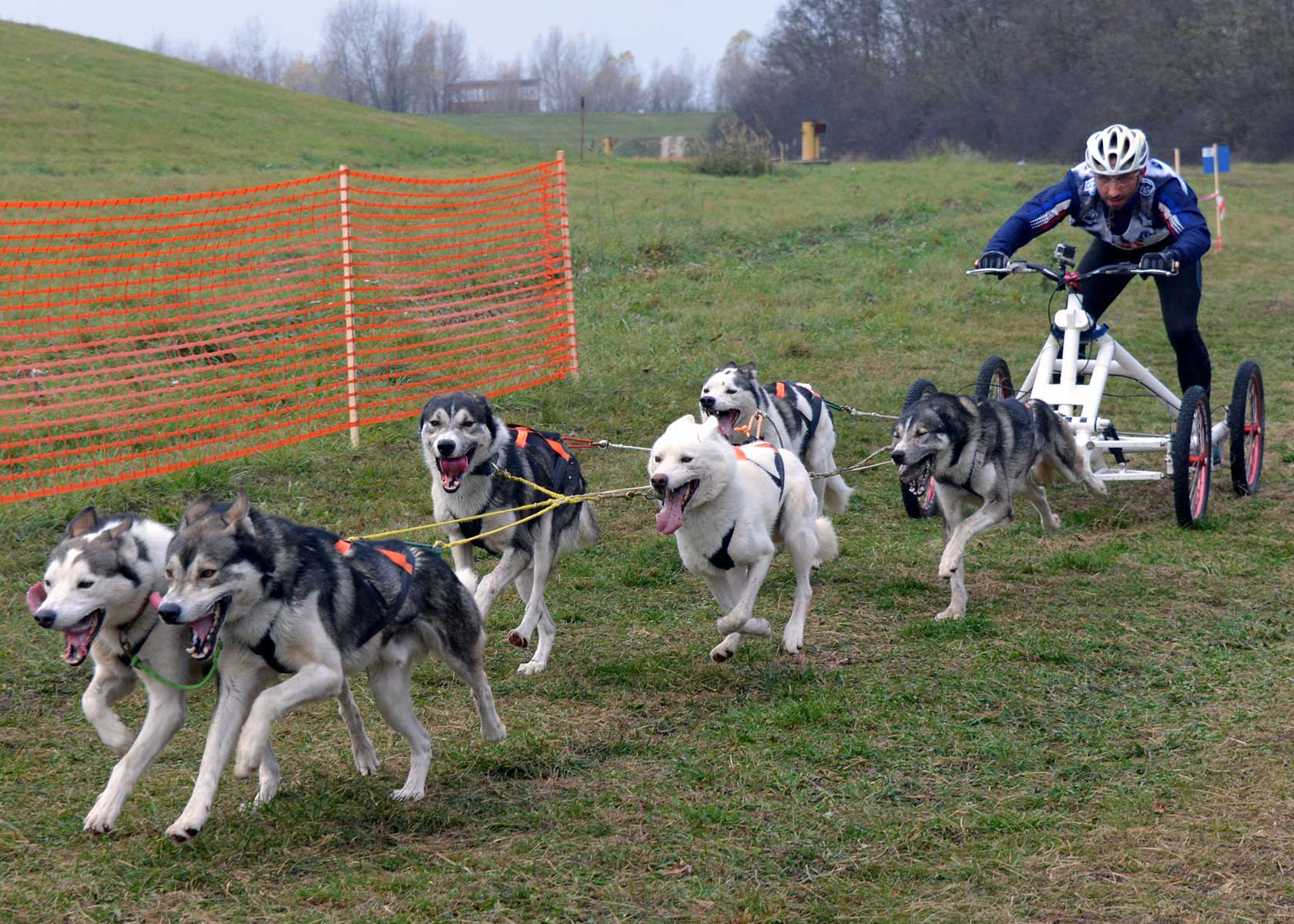 47216066 1960205857403404 4968358652650979328 o