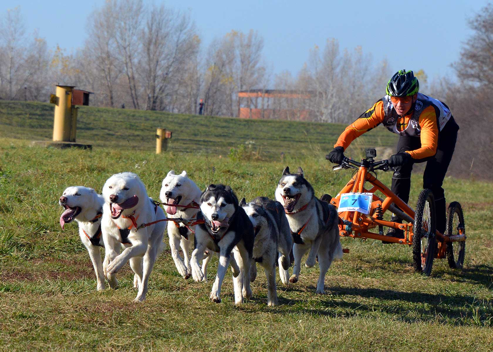 47324561 1960205264070130 5462166285511032832 o