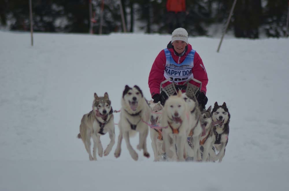 DSC 0374