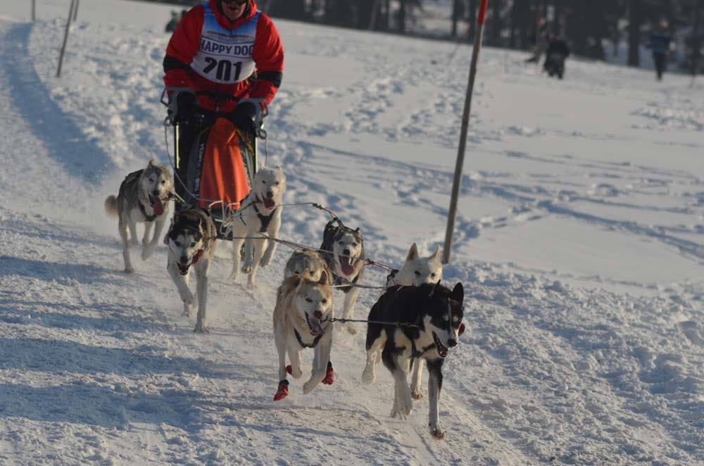 DSC 0522