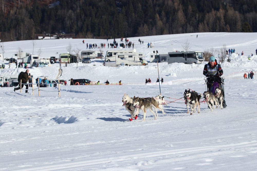 IMG 7981