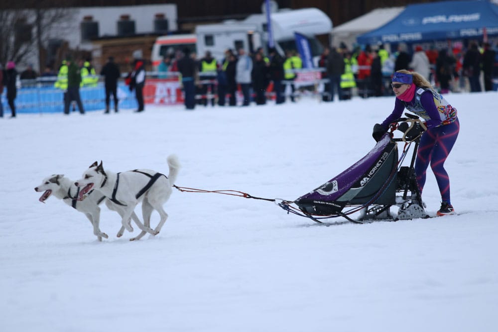 IMG 9339