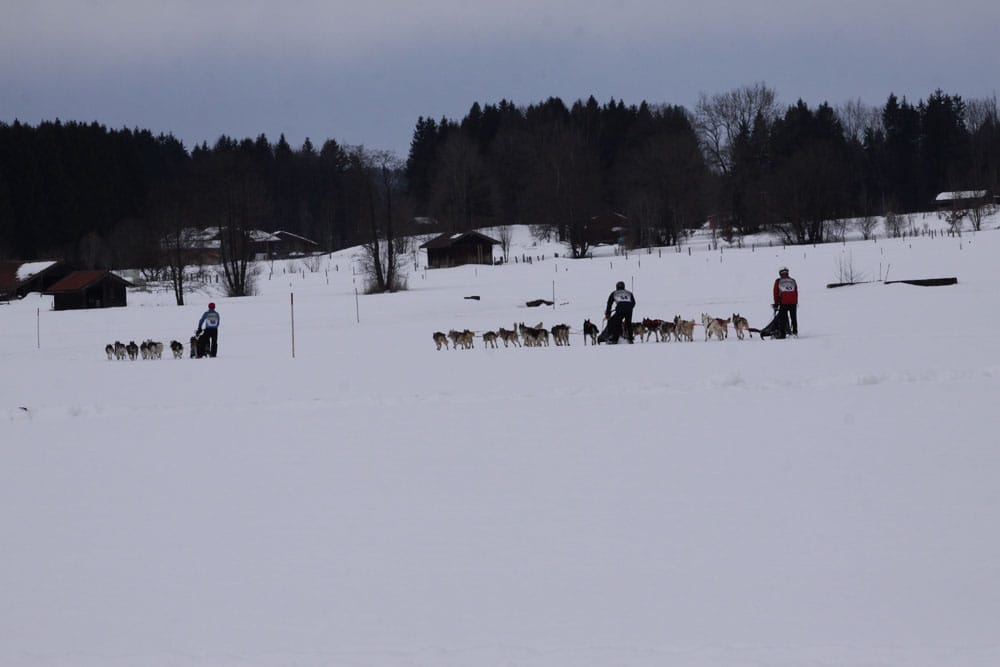 MG 7567