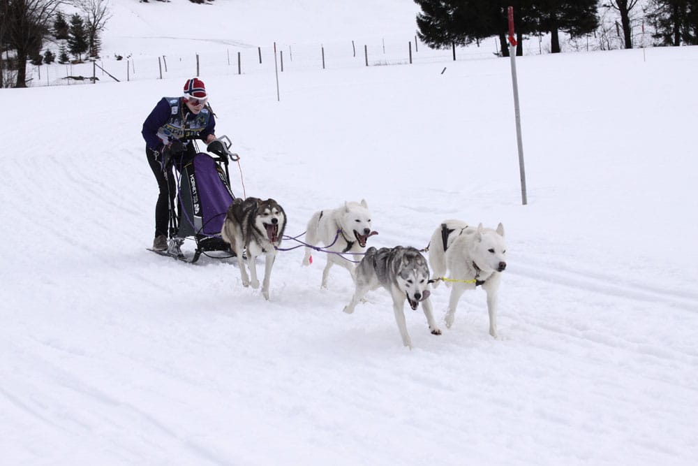 MG 7851