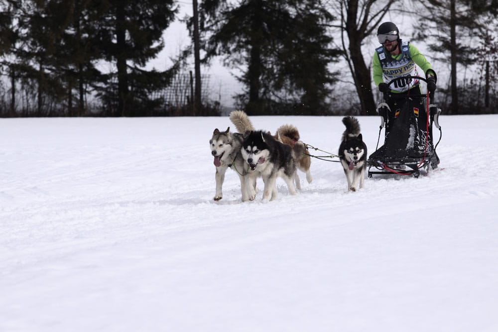 MG 8149