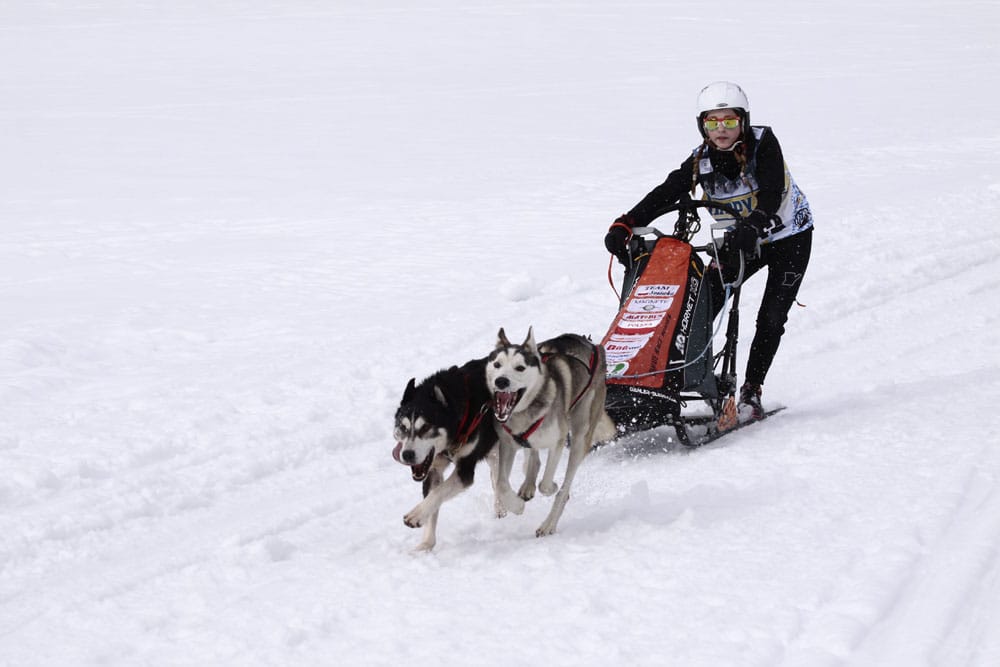 MG 8542
