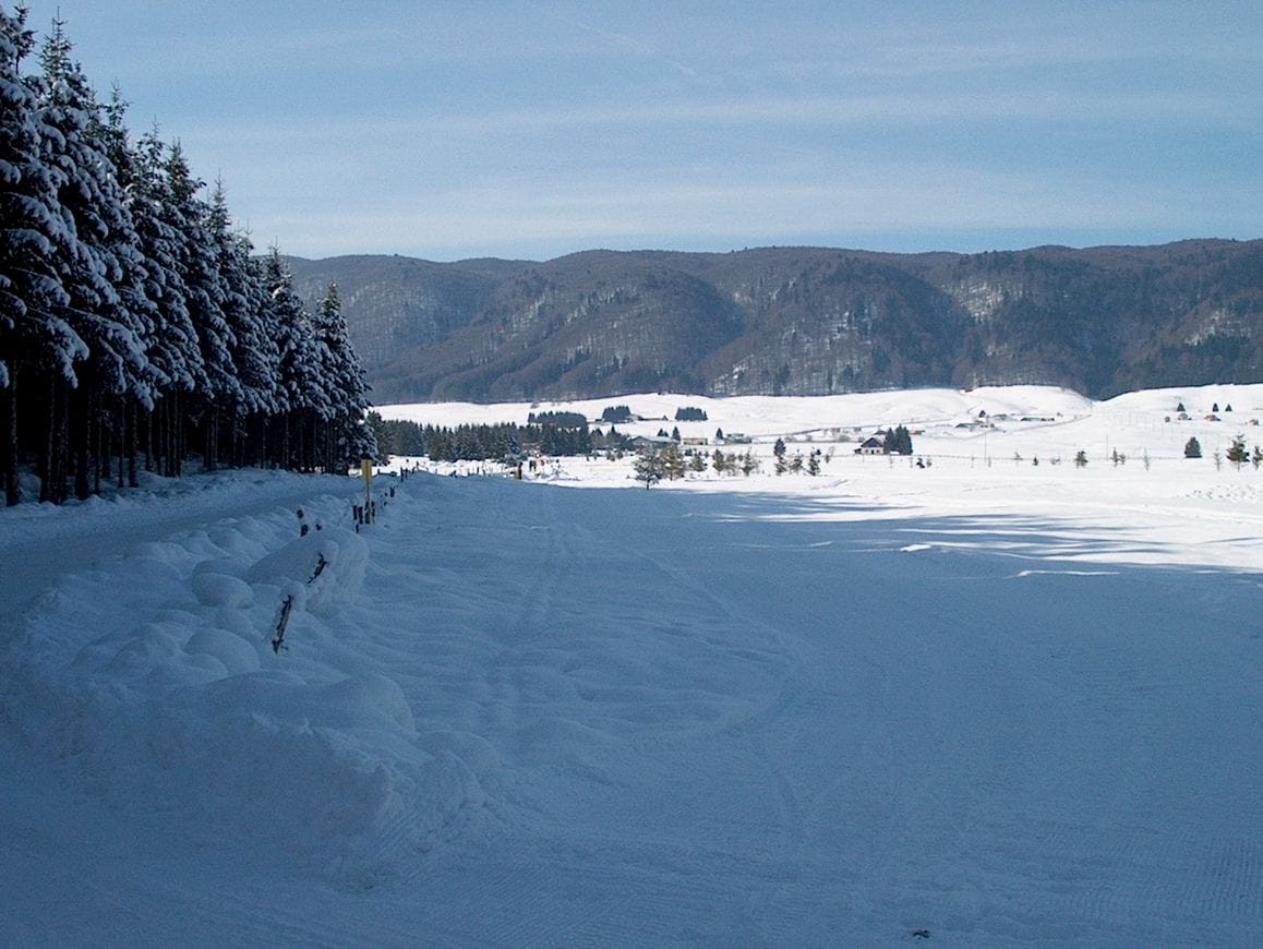 foto3