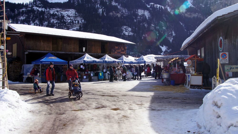 dsc06487