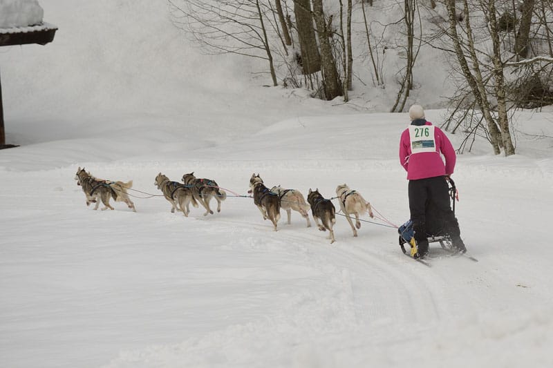 276 sig 1329