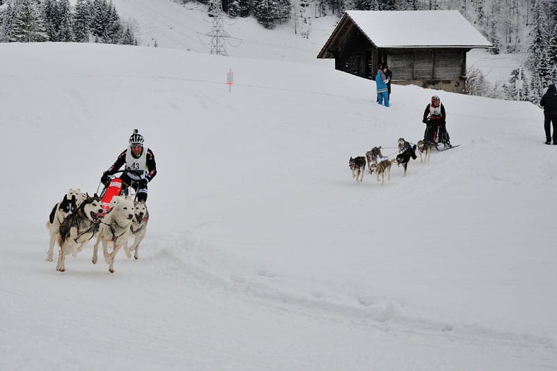 43 sig 0281