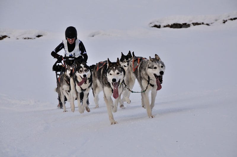 48 sig 0830