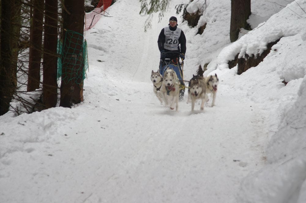 PICT0301