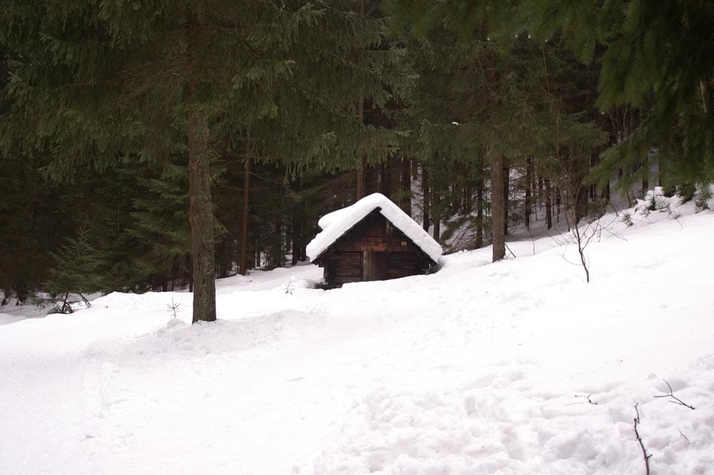 PICT0501