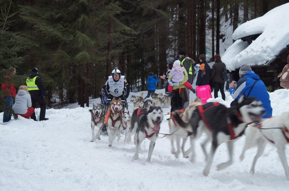 DSC02195