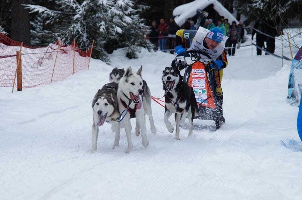 DSC02355